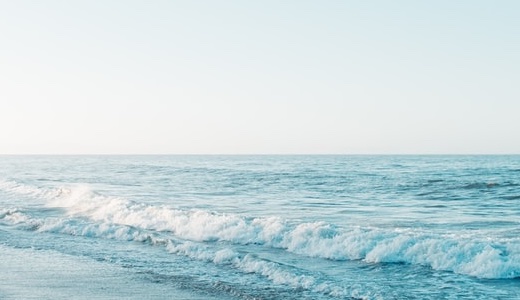 Laravel Sail＋DockerでWebアプリを作成する